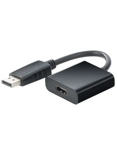 Adaptateur DisplayPort vers HDMI 25 cm