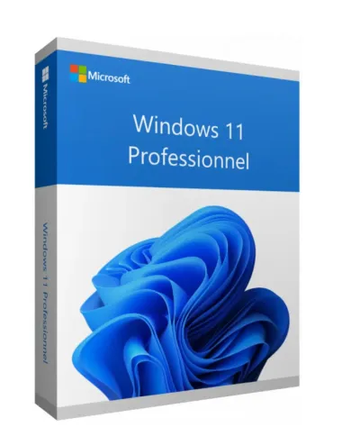 Microsoft Windows 11 Pro – Licence en volume – 100 postes