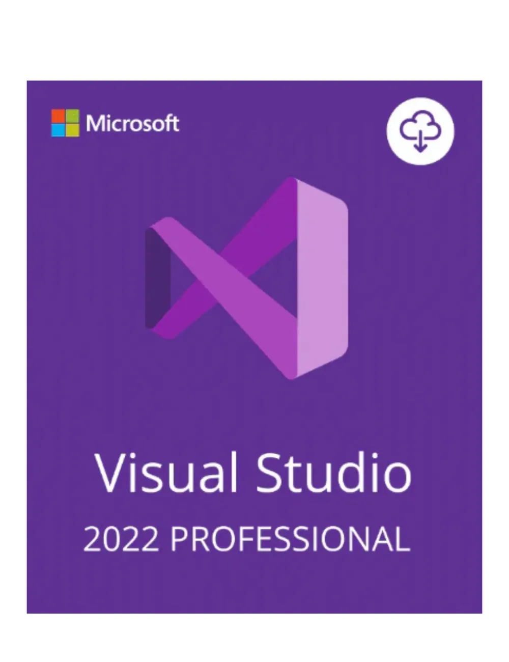 Microsoft Visual Studio 2022 Professional – Licence en volume – Activation numérique – 100 postes